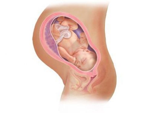 Viêm phụ khoa khi mang thai có sao không? Có ảnh hưởng đến thai nhi không?