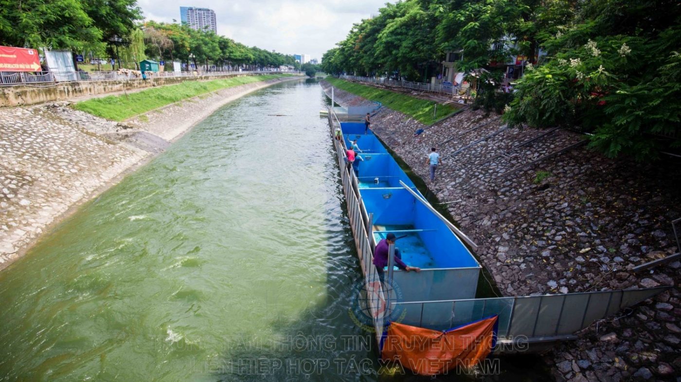 Sông Tô Lịch được làm sạch bằng công nghệ nano – bioreactor của Nhật Bản1